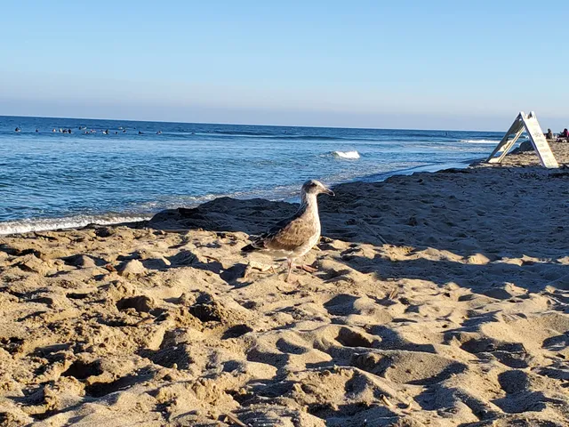 Surfrider Beach