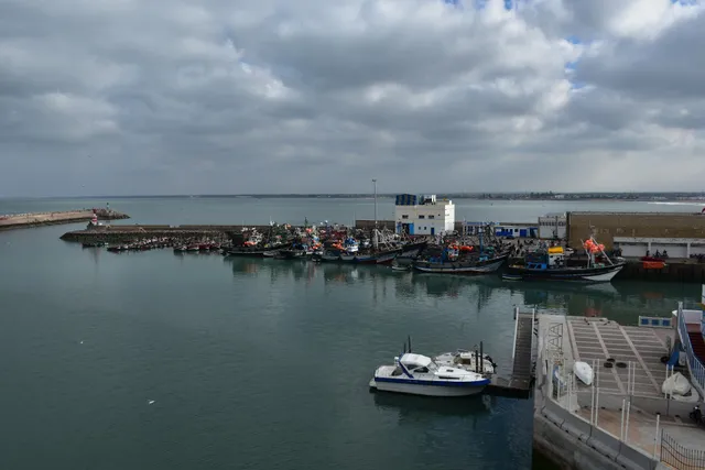 مرصى الجديدة