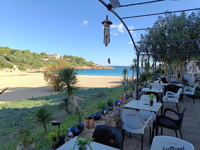 Organic, Restaurant Ecològic