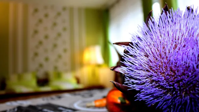 Gästewohnung Mönchengladbach