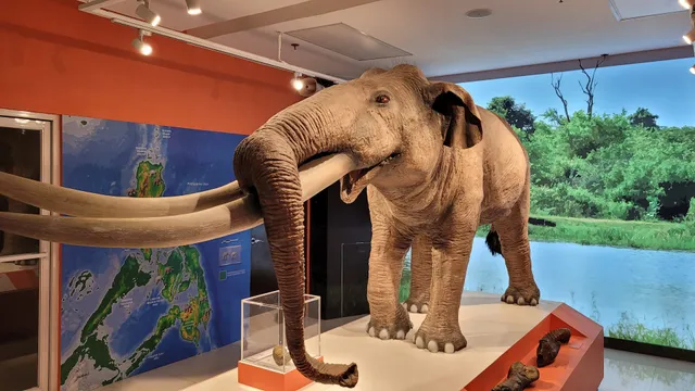 National Museum of the Philippines - Davao