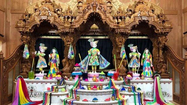 Shree Swaminarayan Gurukul