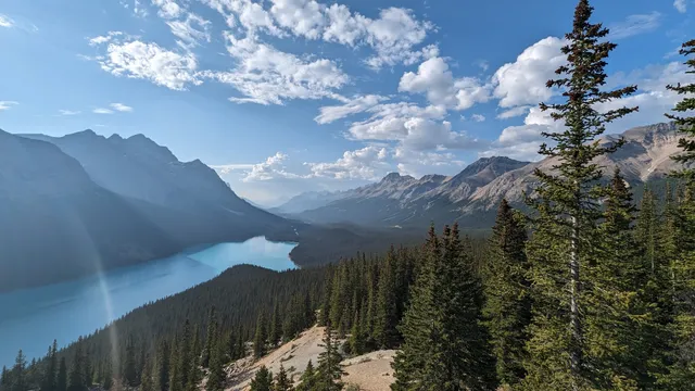 Bow Summit and Peyto Lake