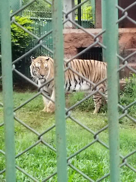 Região Geográfica Imediata de Dois Vizinhos