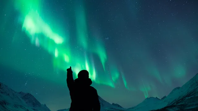 Best Arctic Hospitality Desk