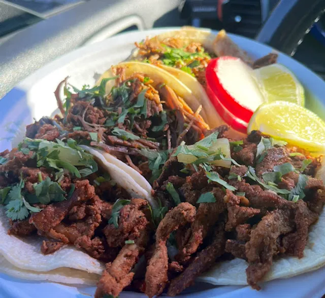 El Chapulin Oaxaqueno