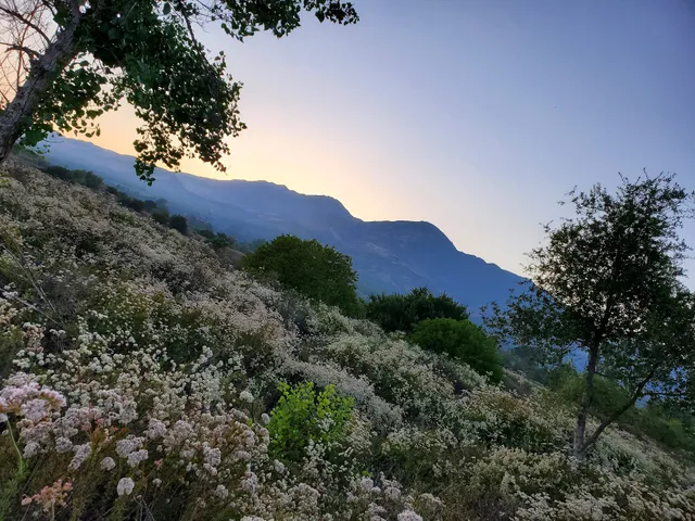 Fillmore Scenic Route