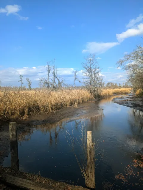 Richmond Hill Wetlands Center