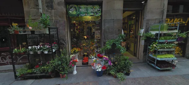 Semillas, Plantas y Floristeria Mikel Zuazua