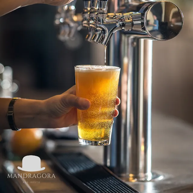 Mandragora Bar Resto