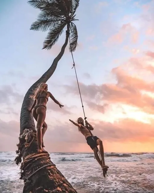 The Palm Rope Swing
