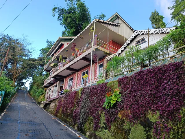 Greenview Homestay ( Best Homestay In Giddha Pahar & Kurseong)