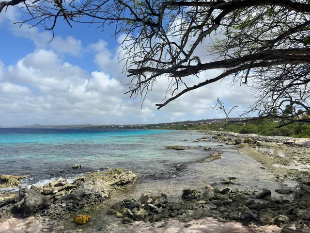 Andrea I Dive site (23)