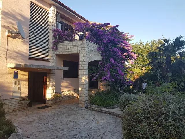 Apartments Oaza Regi