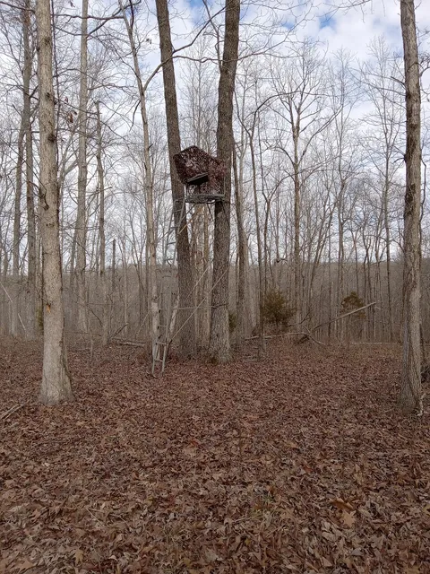 Devil's Backbone State Natural Area