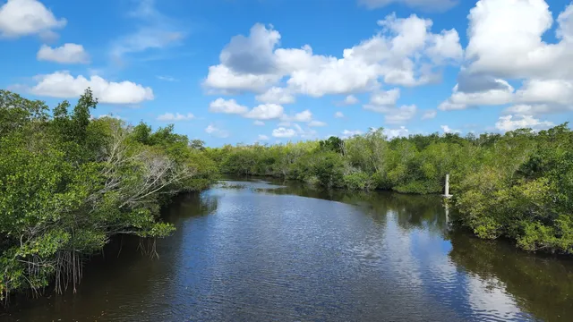 Rookery Bay Environmental Learning Center