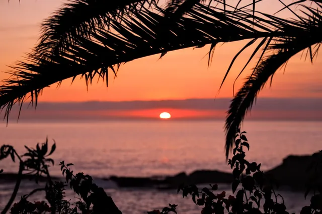 Sycamore Creek Trail - Dana Point