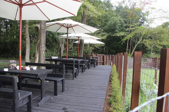 le chien heureux(ル シアン ウールー)