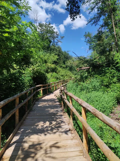 LA PINETA DI TERZIGNO - Sentiero N11