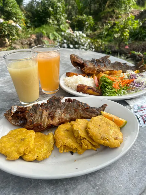 Pesca de trucha y restaurante Granja Crujim