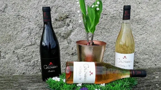 Domaine le Colombiès