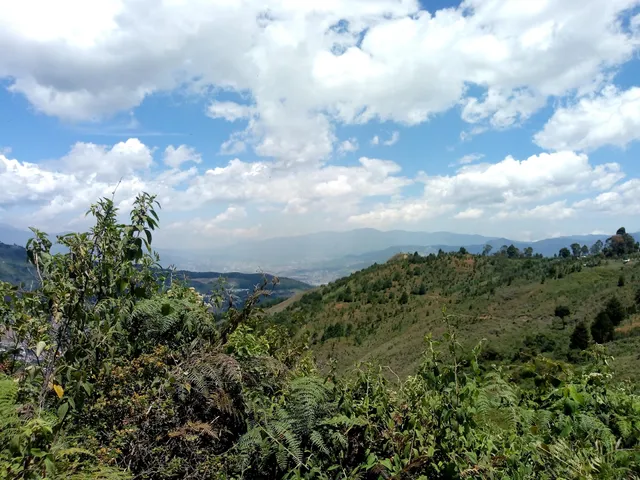 Pan Las Golondrinas Enciso