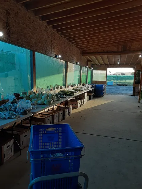 Fresh Vegetable Market