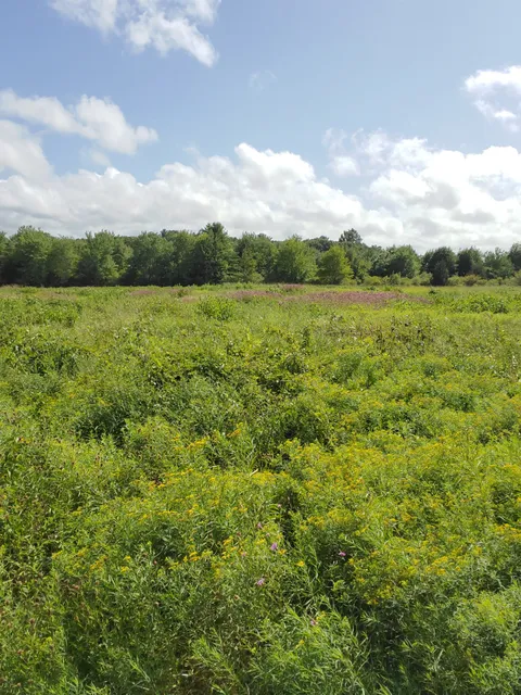 Bay Circuit Trail Southern Terminus