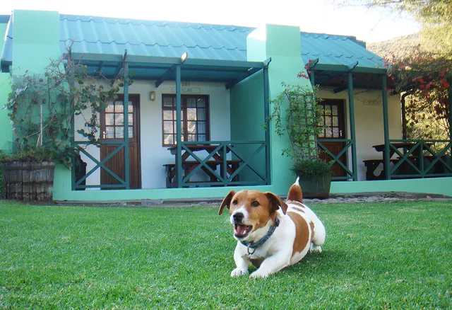 Rainbow Glen Guest Cottages