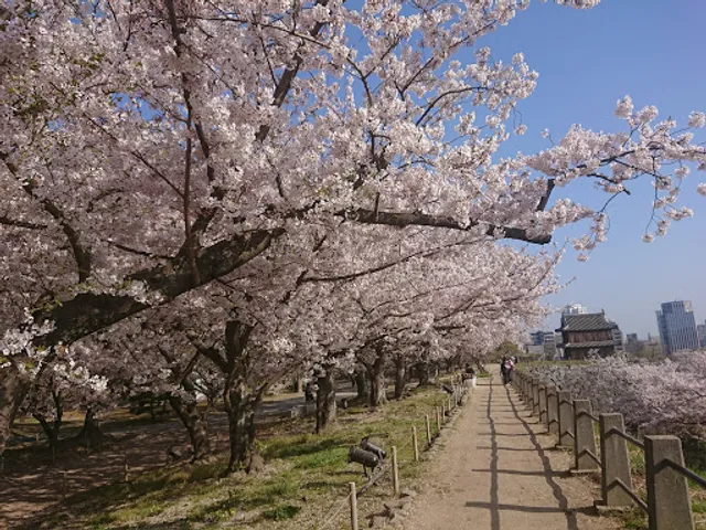 福岡城 本丸御殿跡