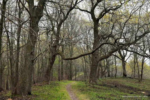 Indiana Dunes National Park Tolleston Dunes