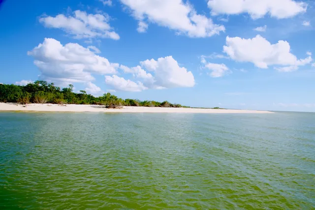 Everglades National Park Institute at Flamingo