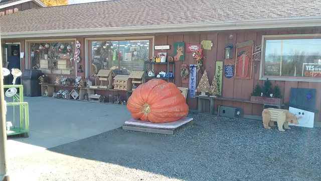 Tom Dooley Apple Orchard