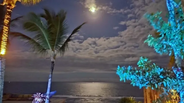 Bistrô Dú Casarão