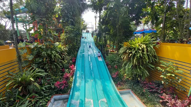 The Jungle Water Adventure