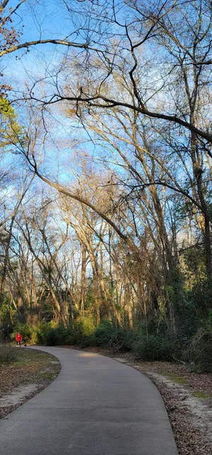 Rose Rudman play area