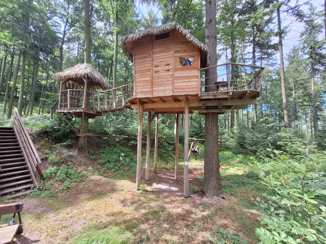 Tree house Sojčí hnízdo