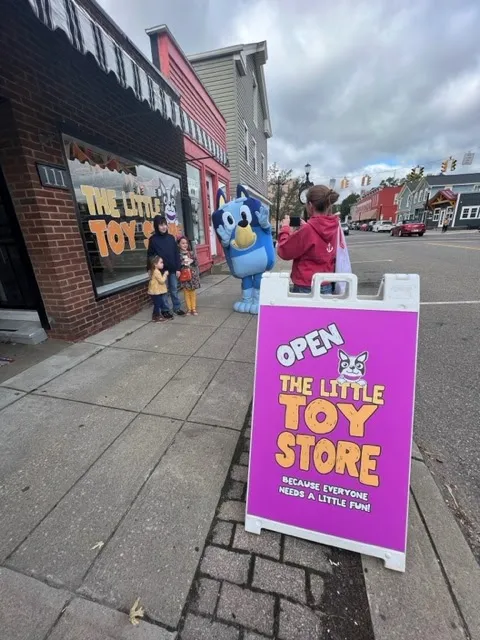 The Little Toy Store