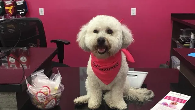 Woof Gang Bakery & Grooming West U