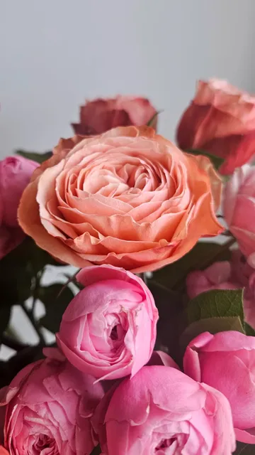 Brooklyn Flower Shop