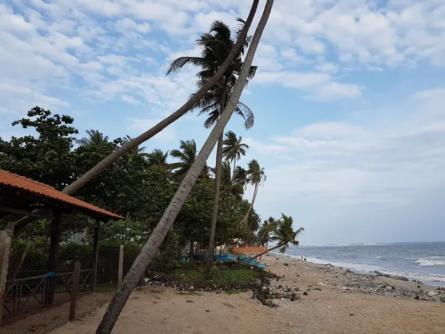 Nhà Hàng TheSinh Mũi Né