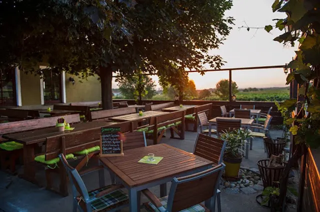 Hoffmann´s WeinZEIT