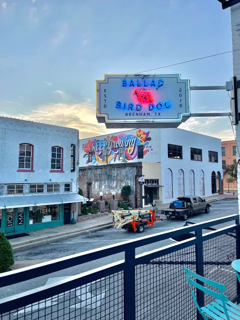 Ballad of the Bird Dog