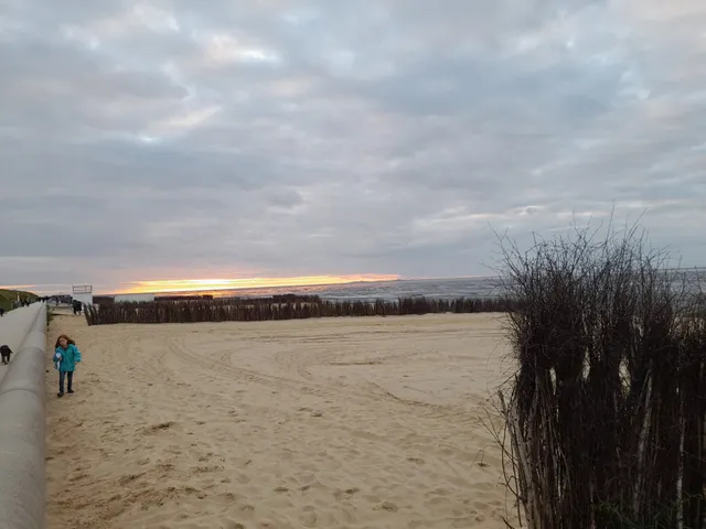 H & P residence Passat