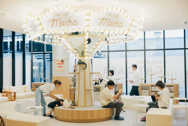 CAT CAFE MOCHA AEONMALL Matsumoto Store