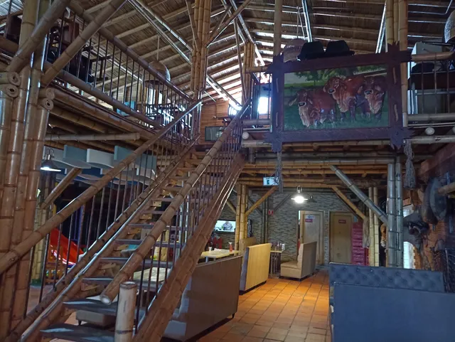 Asaderos El Llanerazo Del Norte