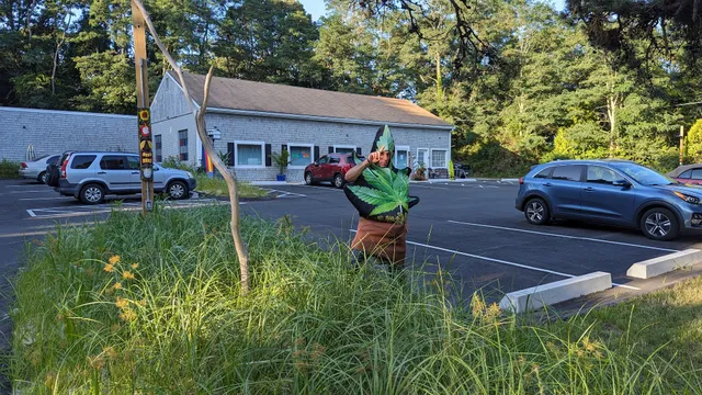 The Haven Center Premium Cannabis Weed Dispensary on Cape Cod