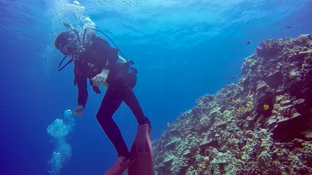 Kona Honu Divers Boat Slip