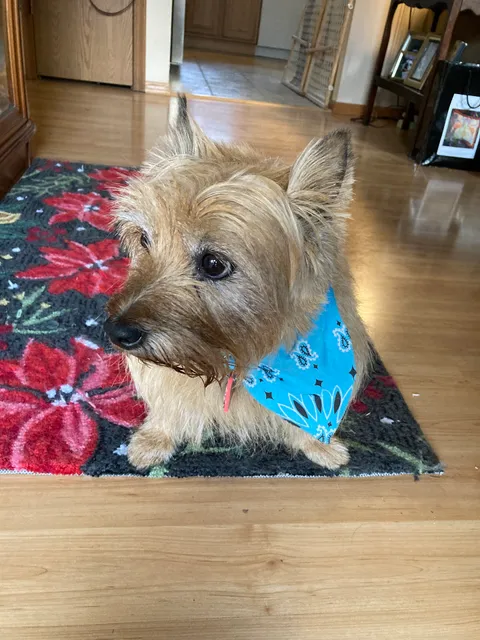 Watson Road Veterinary Clinic