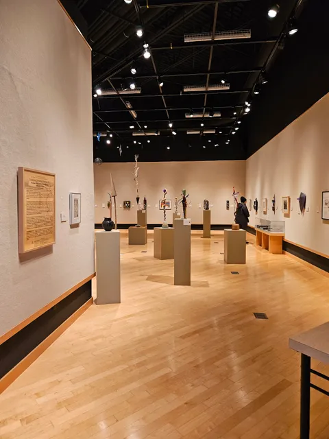 Center for Visual Arts